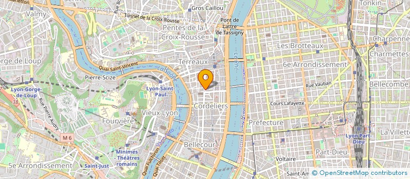 localisation de l'entreprise MONSIEUR ANTOINE MESTRALLET à LYON 1ER