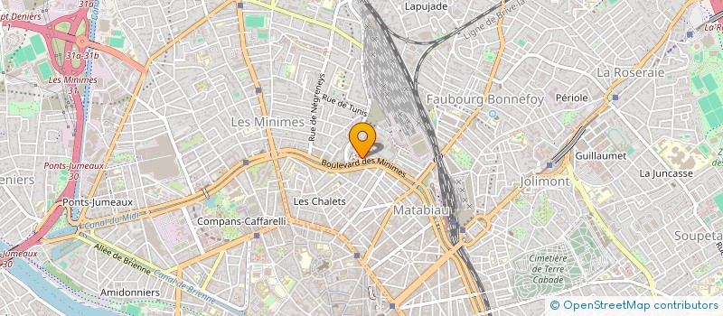 localisation de l'entreprise MONSIEUR ANTOINE MILLE  TOULOUSE