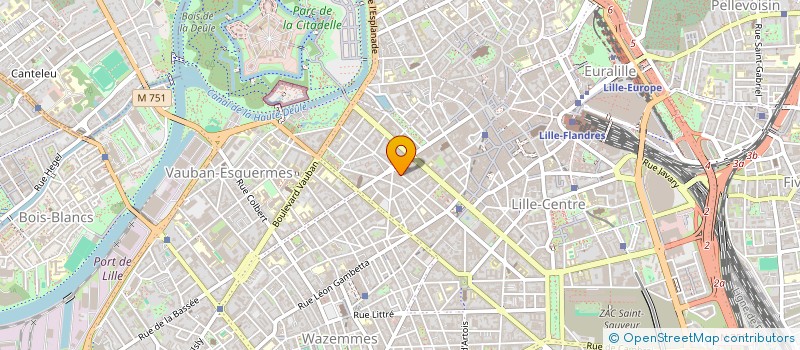 localisation de l'entreprise MONSIEUR ANTOINE MORAUX  LILLE