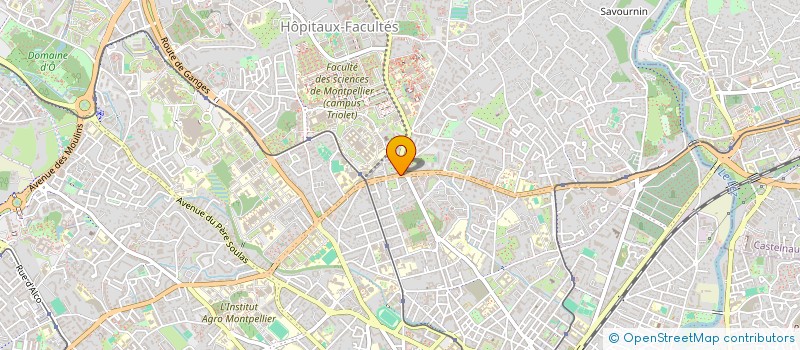 localisation de l'entreprise MONSIEUR ANTOINE MOTTIN à MONTPELLIER