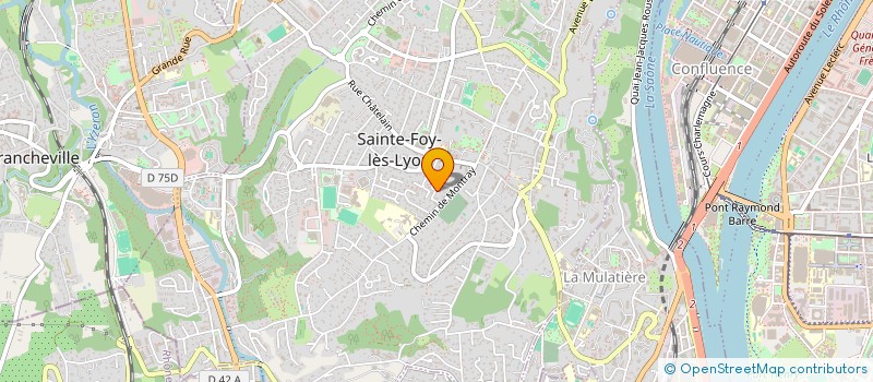 localisation de l'entreprise MONSIEUR ANTOINE MOULIN à SAINTE-FOY-LES-LYON