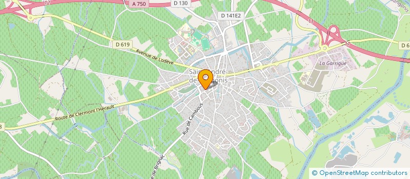 localisation de l'entreprise MONSIEUR ANTOINE NAVARRO  SAINT-ANDRE-DE-SANGONIS