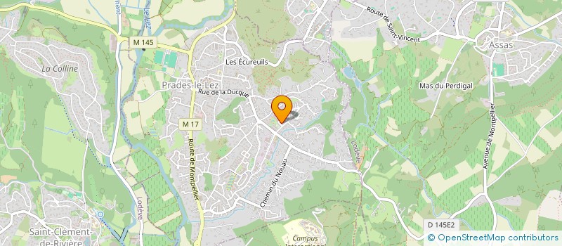 localisation de l'entreprise MONSIEUR ANTOINE PESKINE à PRADES-LE-LEZ
