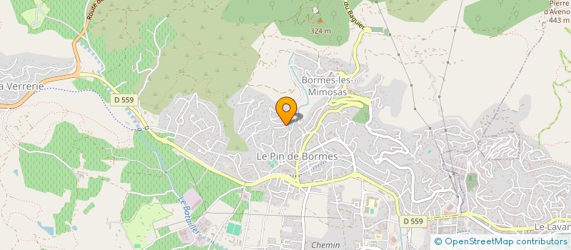 localisation de l'entreprise MONSIEUR ANTOINE PINSON à BORMES-LES-MIMOSAS