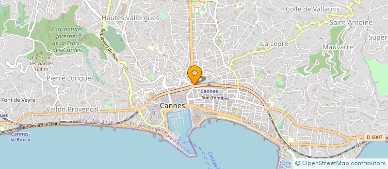 localisation de l'entreprise MONSIEUR ANTOINE PUISAIS à CANNES