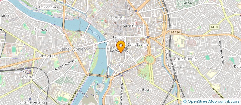 localisation de l'entreprise MONSIEUR ANTOINE RAMOGNINO  TOULOUSE