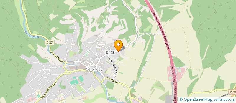 localisation de l'entreprise MONSIEUR ANTOINE SALOMON  SELONGEY