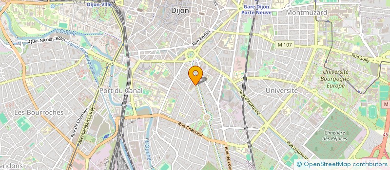 localisation de l'entreprise MONSIEUR ANTOINE SCHEIN à DIJON