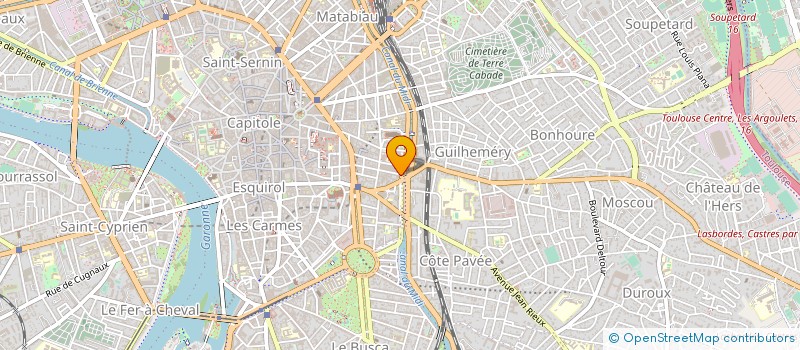 localisation de l'entreprise MONSIEUR ANTOINE SENES  TOULOUSE