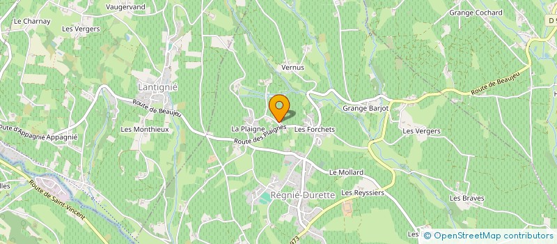 localisation de l'entreprise MONSIEUR ANTOINE THEVENOT  REGNIE-DURETTE