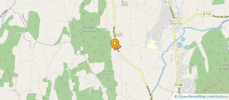 localisation de l'entreprise MONSIEUR ANTOINE THIOT  PEYRINS