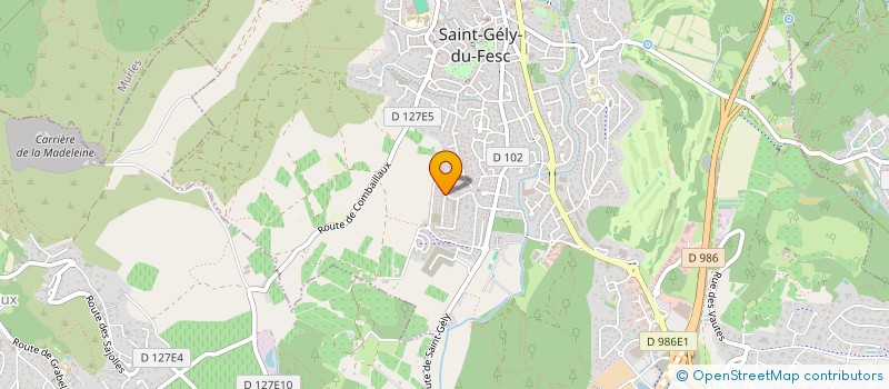 localisation de l'entreprise MONSIEUR ANTOINE VASLIN  SAINT-GELY-DU-FESC