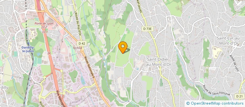 localisation de l'entreprise MONSIEUR ANTOINE VINCENT  SAINT-DIDIER-AU-MONT-D OR