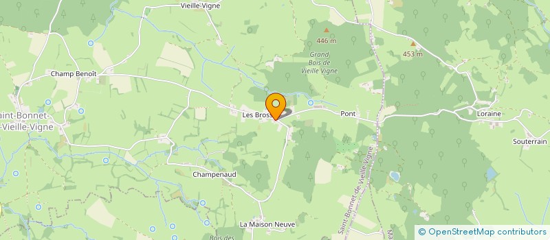 localisation de l'entreprise MONSIEUR ANTONIN BONIN  SAINT-BONNET-DE-VIEILLE-VIGNE