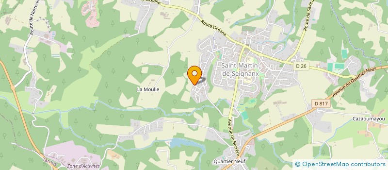 localisation de l'entreprise MONSIEUR ANTONIN DIOT  SAINT-MARTIN-DE-SEIGNANX