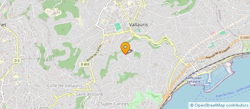 localisation de l'entreprise MONSIEUR ANTONIO ARFUSO à VALLAURIS