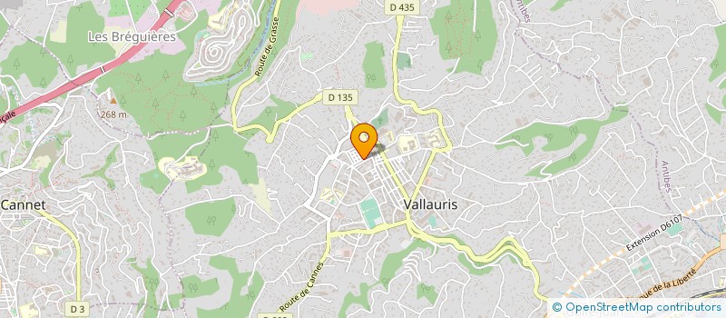 localisation de l'entreprise MONSIEUR ANTONIO AYLLON Y DELGADO  VALLAURIS