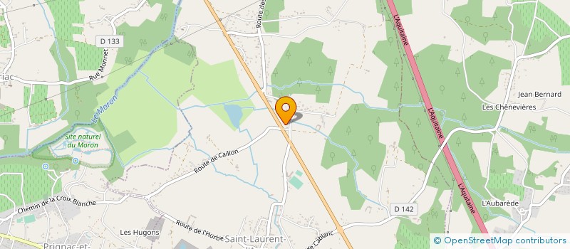 localisation de l'entreprise MONSIEUR ANTONIO DA SILVA PIRES  SAINT-LAURENT-D'ARCE