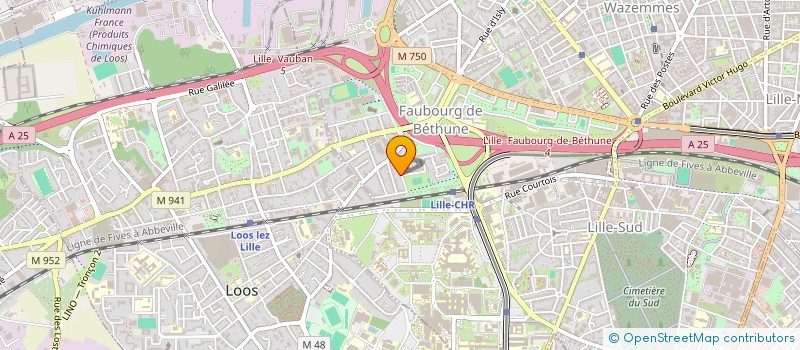 localisation de l'entreprise MONSIEUR ANTONIO DE SOUSA à LILLE