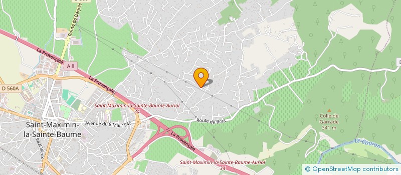 localisation de l'entreprise MONSIEUR ANTONIO FERNANDES MARTINS à SAINT-MAXIMIN-LA-SAINTE-BAUME