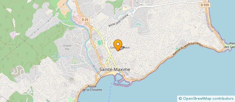 localisation de l'entreprise MONSIEUR ANTONIO FRANCO à SAINTE-MAXIME