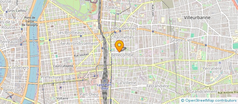 localisation de l'entreprise MONSIEUR ANTONIO MAFRA à LYON