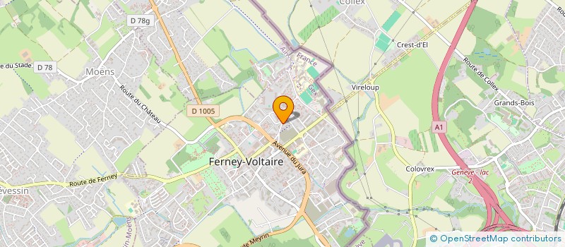 localisation de l'entreprise MONSIEUR ANTONIO MALINCONICO à FERNEY-VOLTAIRE