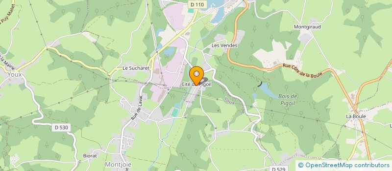 localisation de l'entreprise MONSIEUR ANTONIO RIBEIRO  SAINT-ELOY-LES-MINES