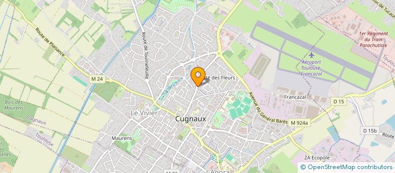 localisation de l'entreprise MONSIEUR ANTONIO RIBEIRO DA SILVA  CUGNAUX