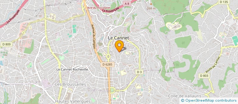 localisation de l'entreprise MONSIEUR ANTONIO ROCHA DE CRUZ à LE CANNET