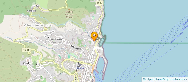 localisation de l'entreprise MONSIEUR ANTONIO RODRIGUES DE LIMA  BASTIA