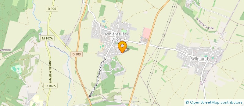 localisation de l'entreprise MONSIEUR ANTONIO SANTOS  ASNIERES-LES-DIJON