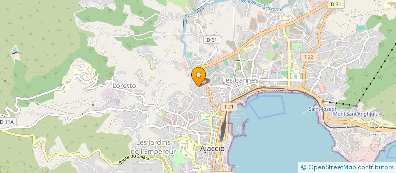 localisation de l'entreprise MONSIEUR ANTONIO SANTOS INACIO  AJACCIO