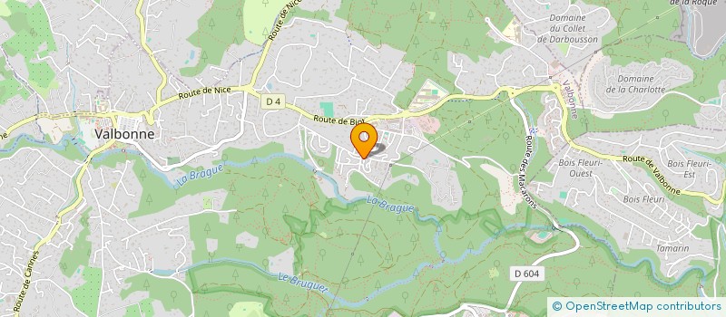 localisation de l'entreprise MONSIEUR ANTONY ESCODA  VALBONNE