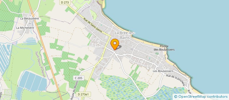 localisation de l'entreprise MONSIEUR ANTONY MARTIN  LA BREE-LES-BAINS