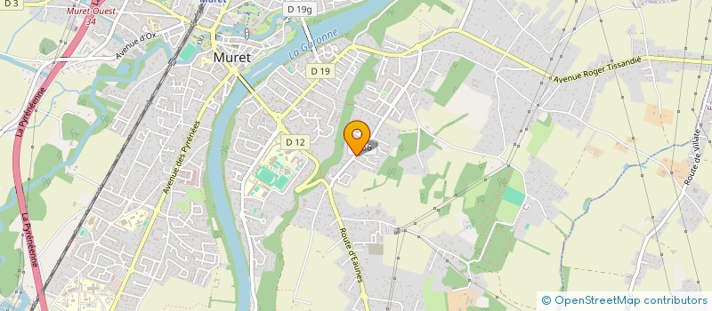 localisation de l'entreprise MONSIEUR ANTONY PICHEYRE  MURET