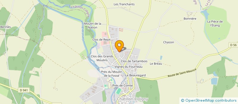 localisation de l'entreprise MONSIEUR ANTONY RICCI à CHATILLON-COLIGNY