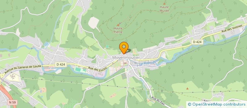 localisation de l'entreprise MONSIEUR ANTONY TUSSING  MOYENMOUTIER