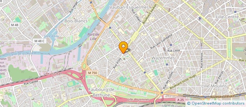 localisation de l'entreprise MONSIEUR ANWER JLASI à LILLE