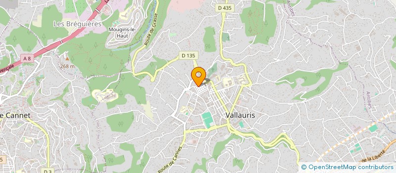 localisation de l'entreprise MONSIEUR APHAL DIENG  VALLAURIS