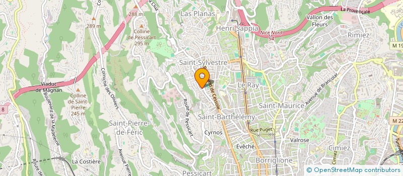 localisation de l'entreprise MONSIEUR ARA STEPANYAN à NICE