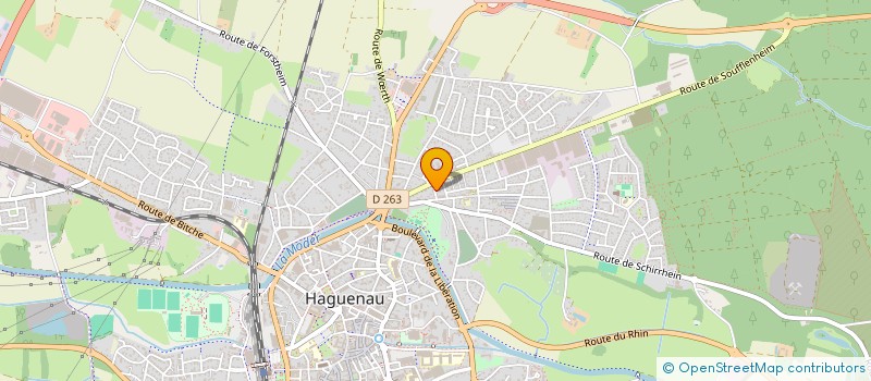 localisation de l'entreprise MONSIEUR ARAM LANNEMEZAN  HAGUENAU