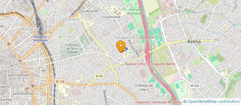 localisation de l'entreprise MONSIEUR ARAM QAS à TOULOUSE