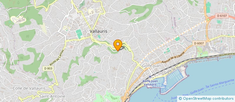 localisation de l'entreprise MONSIEUR ARIE BENAYOUN à VALLAURIS