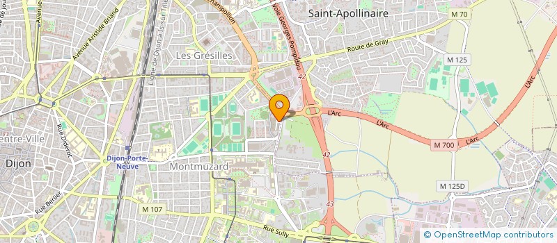 localisation de l'entreprise MONSIEUR ARIEL BELLO à DIJON