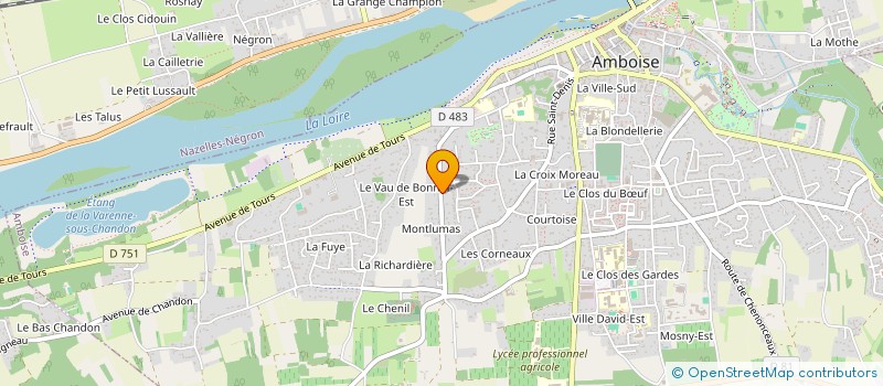 localisation de l'entreprise MONSIEUR ARIEL COELHO DA SILVA  AMBOISE