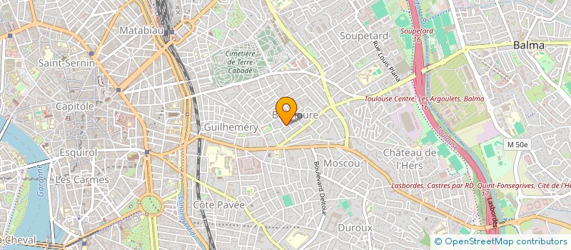 localisation de l'entreprise MONSIEUR ARIK ALTER à TOULOUSE