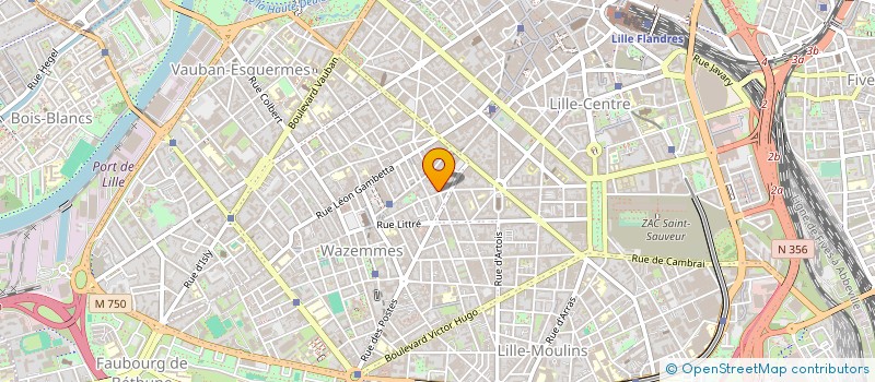 localisation de l'entreprise MONSIEUR ARKADI ZAIDES  LILLE