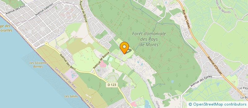 localisation de l'entreprise MONSIEUR ARMAND BURGAUD  SAINT-JEAN-DE-MONTS