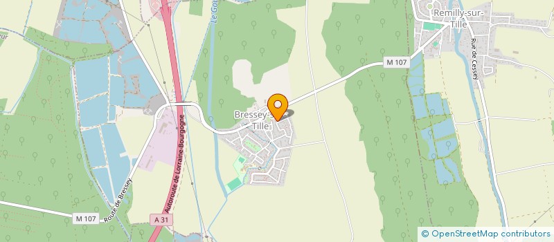 localisation de l'entreprise MONSIEUR ARMAND VIETTE  BRESSEY-SUR-TILLE